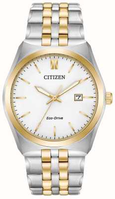 Citizen Brazalete eco-drive caballero wr100 BM7334-58A